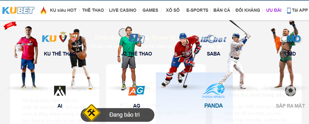 KU Thể Thao là sảnh cược đã làm nên tên tuổi cho KUBET. Chúng tôi là đối tác với Laliga (một trong 5 giải đấu lớn nhất toàn cầu)